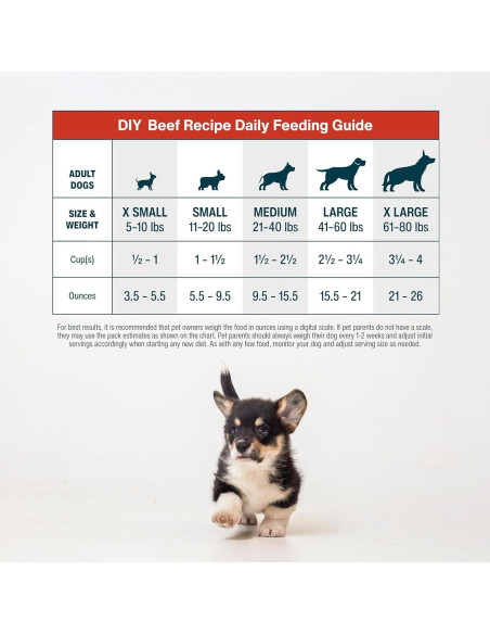 Mezcla de Nutrientes DIY JustFoodForDogs Carne de Res 129g