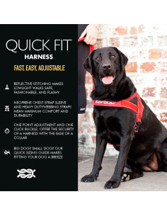 Arnés EzyDog Quick Fit Negro XX-Pequeño - Sin Tirones y Acolchado 2