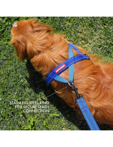 Arnés EzyDog Quick Fit Negro XX-Pequeño - Sin Tirones y Acolchado