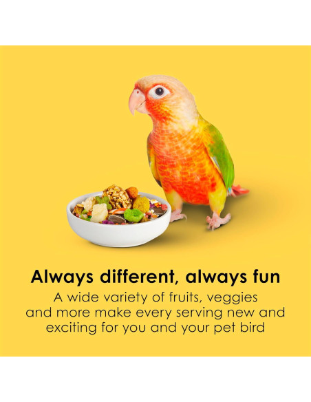 Comida para Conures Kaytee Fiesta 2.04 kg - Nutrición Completa