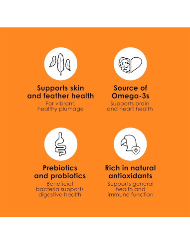 Comida para Conures Kaytee Fiesta 2.04 kg - Nutrición Completa