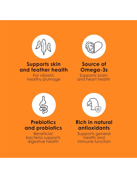 Comida para Conures Kaytee Fiesta 2.04 kg - Nutrición Completa