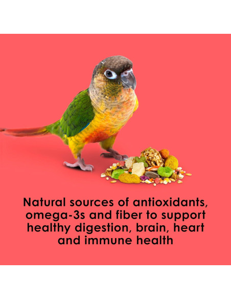 Comida para Conures Kaytee Fiesta 2.04 kg - Nutrición Completa