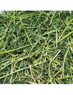 Heno de Alfalfa Ultra Premium Rabbit Hole Hay 340 g Fresco 2