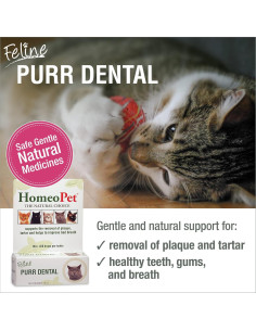 HomeoPet Feline Purr Dental 15mL - Cuidado Dental Natural para Gatos 2