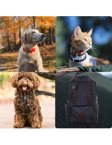 Soporte para Collar de Gato GudCoaks para Etiqueta Tile 2024