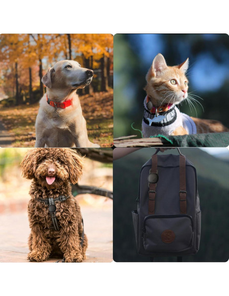 Soporte para Collar de Gato GudCoaks para Etiqueta Tile 2024