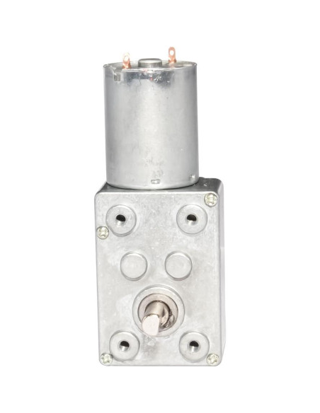 Motor de Engranaje DC 12V 0.6RPM BBQ Driver 25kg.cm