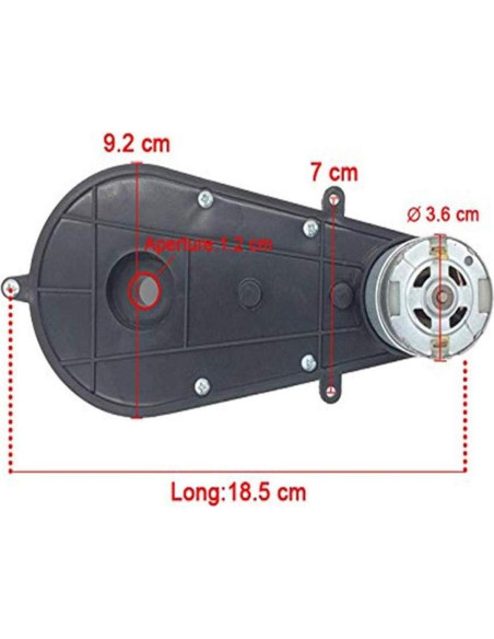 Motor de Corriente Continua 24V 30000RPM WEELYE con Caja de Engranajes