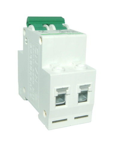 Disyuntor Miniatura DZ47-63 D10 10A 240/400V 2 Polo Riel DIN