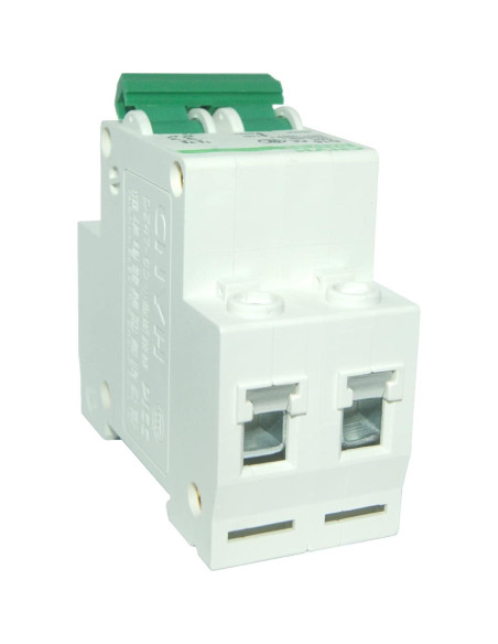 Disyuntor Miniatura DZ47-63 D10 10A 240/400V 2 Polo Riel DIN