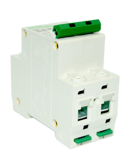 Disyuntor Miniatura DZ47-63 D10 10A 240/400V 2 Polo Riel DIN