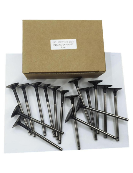 Kit de Válvulas de Admisión y Escape WFSZBP 16 Piezas