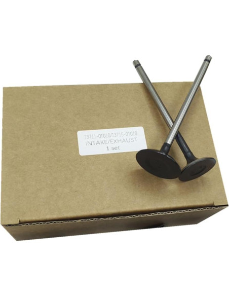 Kit de Válvulas de Admisión y Escape WFSZBP 16 Piezas