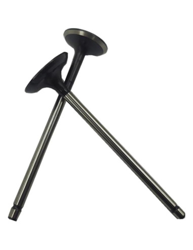 Kit de Válvulas de Admisión y Escape WFSZBP 16 Piezas