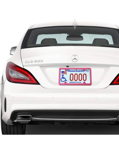 Marco de Placa de Licencia BGGTMO Rosa - Metal Aluminio, 2 Piezas