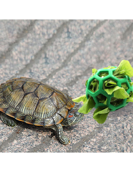 Bola de Alimentación Colgante para Tortugas Ferplast - Verde - 14 cm