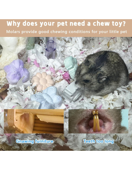 10 Piezas Bloque de Lava Natural para Roedores Hamiledyi