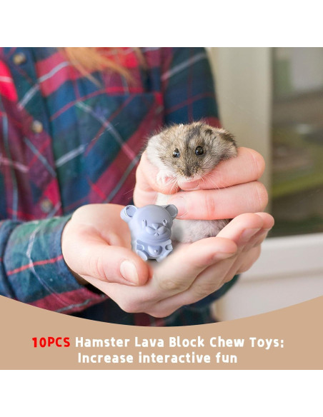10 Piezas Bloque de Lava Natural para Roedores Hamiledyi