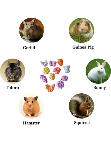 10 Piezas Bloque de Lava Natural para Roedores Hamiledyi