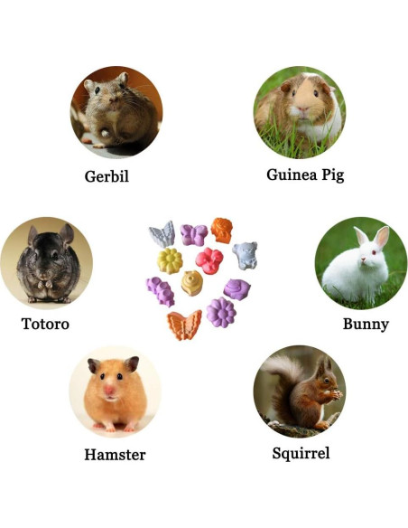 10 Piezas Bloque de Lava Natural para Roedores Hamiledyi