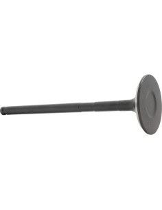 Válvula de Escape DNJ EV922 para Toyota, Lexus, Pontiac 2.0L-2.4L 2