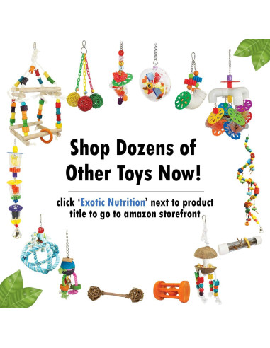 Globo de Forraje con Campana Exotic Nutrition 28 cm