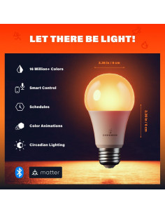 Bombilla LED Inteligente Caveman A19 RGBW 800LM 2pk 2