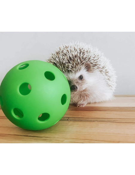 Bola de Erizo Exotic Nutrition 6.35 cm - Juguete Interactivo