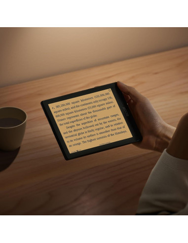 eReader Onyx Go 6" E Ink Carta 1300 Wi-Fi 32GB Negro