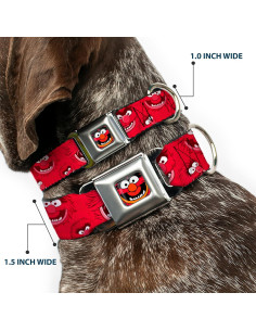 Collar para Perro Buckle-Down 2.54 cm Rojo Ajustable 23-38 cm 2