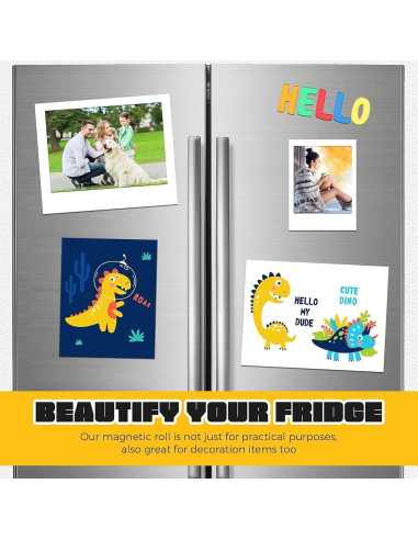 Cinta Magnética Autoadhesiva SALEX 6.35 mm x 12.19 m