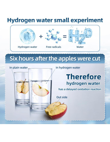 Generador de Agua de Hidrógeno Curety 1500ppb Portátil