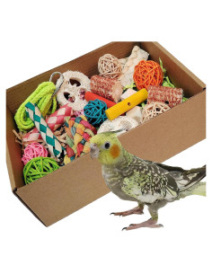 Caja de Juguetes Coloridos para Aves Kencunay - 22x16x5 cm