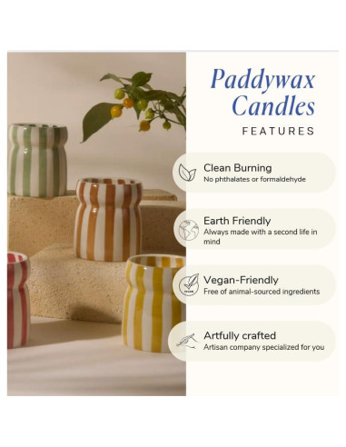 Vela Aromática Paddywax Cabana Lavanda 184 g - Quema Limpia