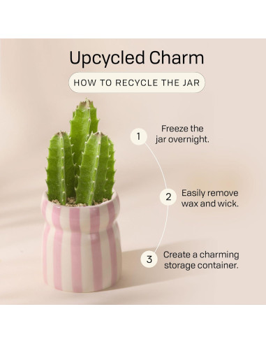 Vela Aromática Paddywax Cabana Lavanda 184 g - Quema Limpia