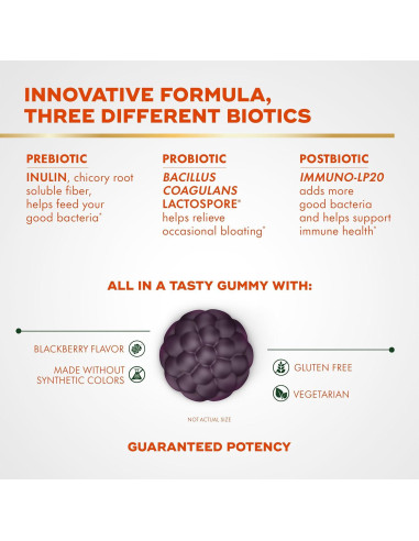 Gomitas Bioticas 3-en-1 Align, Probiotico, Sabor Mora, 50 Unidades