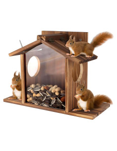 Comedero para Ardillas Gnodry de Madera con Panel Acrílico
