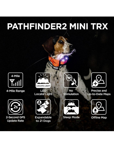 Receptor GPS Dogtra Pathfinder 2 Mini TRX para Perros Azul