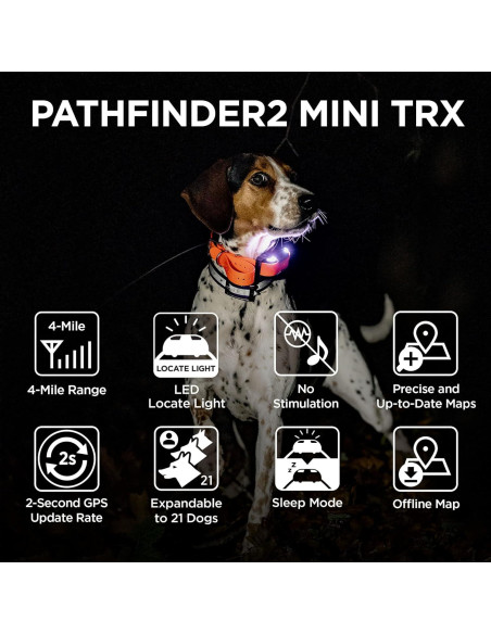 Receptor GPS Dogtra Pathfinder 2 Mini TRX para Perros Azul