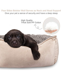 Cama Ortopédica para Perros JOEJOY Beige 50.8x48.3cm 2