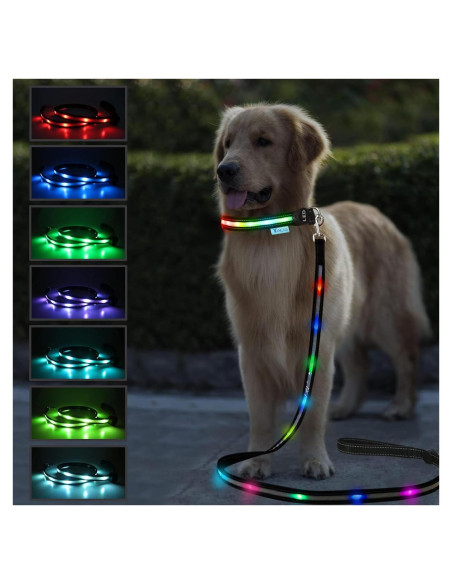 Correa LED Recargable Yacig 1.83m para Perros - 7 Colores