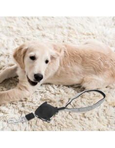 Correa Retráctil para Perros Alipis 12x10cm Entrenamiento 2