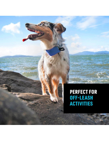 Collar y Correa Retráctil Nite Ize Mediano Azul 40.64-45.72 cm