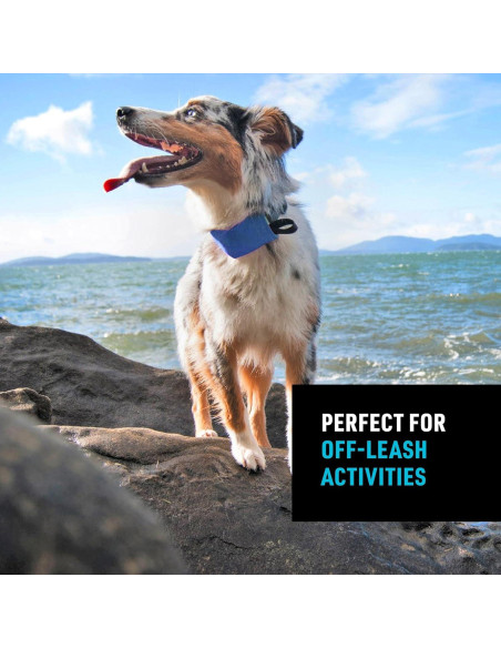 Collar y Correa Retráctil Nite Ize Mediano Azul 40.64-45.72 cm