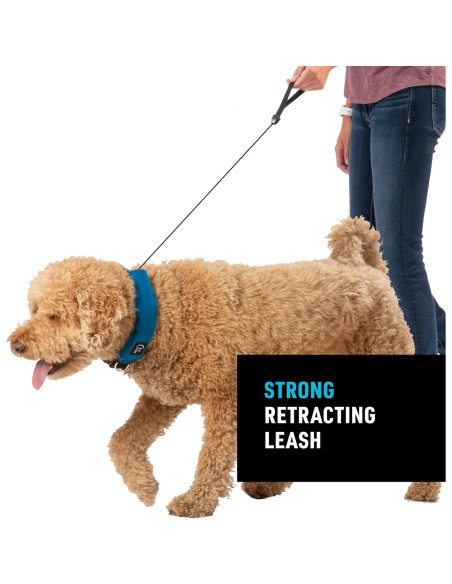 Collar y Correa Retráctil Nite Ize Mediano Azul 40.64-45.72 cm