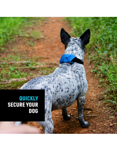 Collar y Correa Retráctil Nite Ize Mediano Azul 40.64-45.72 cm