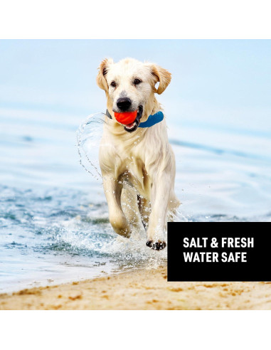 Collar y Correa Retráctil Nite Ize Mediano Azul 40.64-45.72 cm