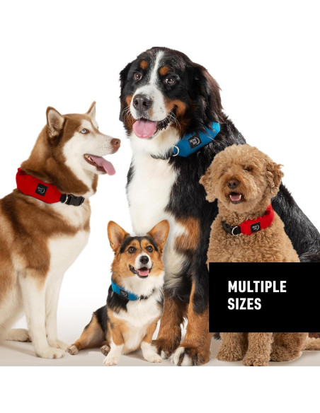 Collar y Correa Retráctil Nite Ize Mediano Azul 40.64-45.72 cm