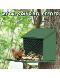 Comedero para Ardillas Gavinjitao de Metal Verde Colgante 2